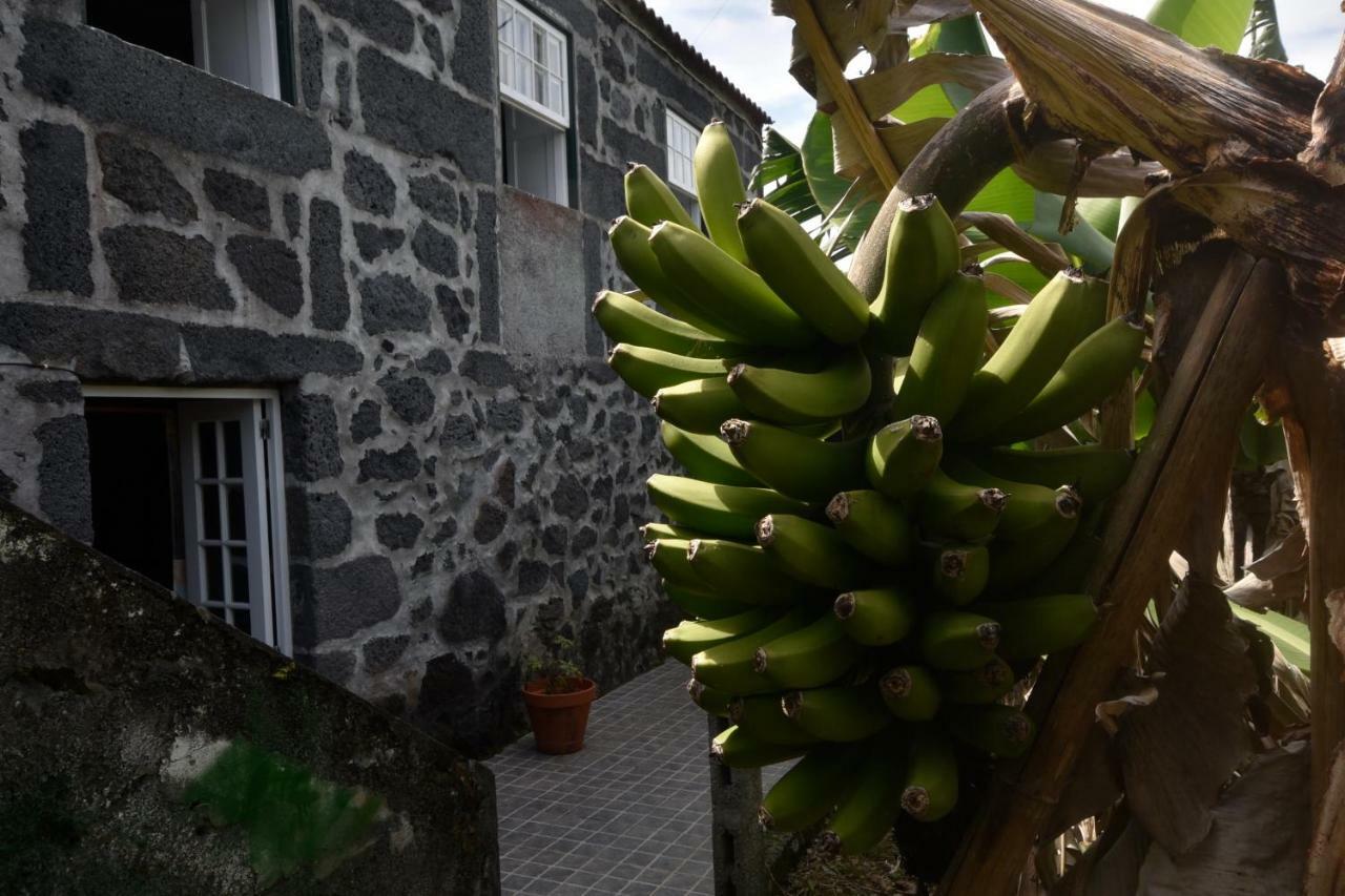 Adega Do Gato Hotel Calhau Exterior foto